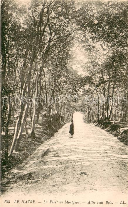 Le Havre La Foret de Montgeon Allee sous Bois