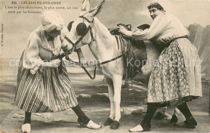 Les Sables-d Olonne Ane le plus recalcitrant les plus entete est vite mate par l