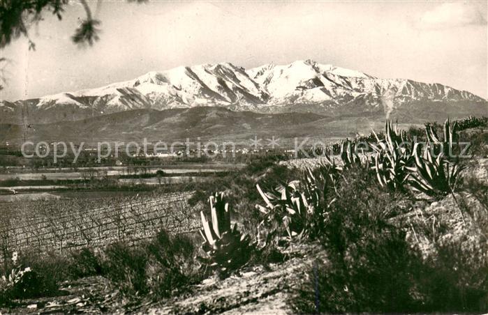 Roussillon Isere La plaine et Canigou