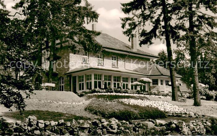 Bad Pyrmont Berghotel Sennhuette