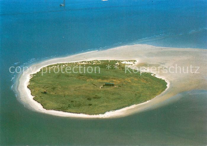 Scharhoern Fliegeraufnahme in der Elbmuendung