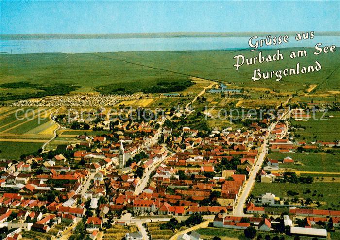 Purbach Neusiedler See Weinort Sommerfrische Fliegeraufnahme