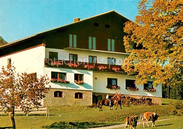 Annaberg Niederoesterreich Stadlerhof Pension