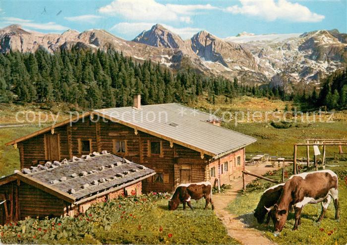 Muehlbach Hochkoenig Berggaststaette Springlkaser auf der Gotzenalm mit Hagengeb