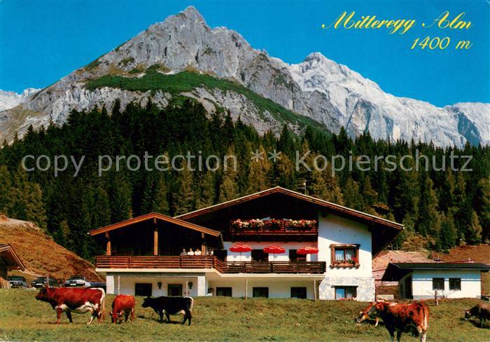 Muehlbach Hochkoenig Mitteregg Alm