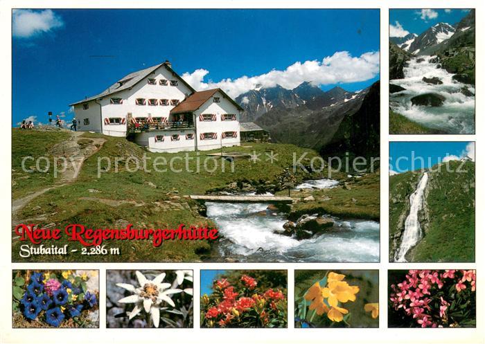 Stubaital Neue Regensburger Huette Wasserfall Alpenflora