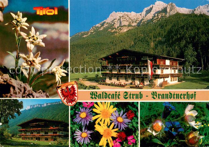Waidring Tirol Waldcafe Strub Brandtnerhof Alpenflora