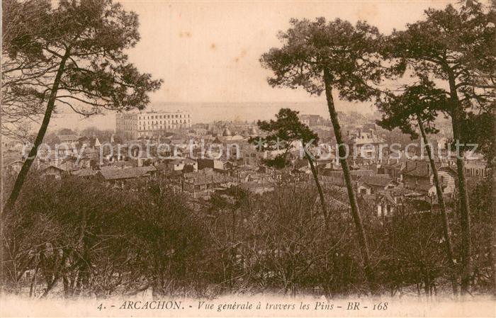 Arcachon 33 Vue generale a travers les Pins