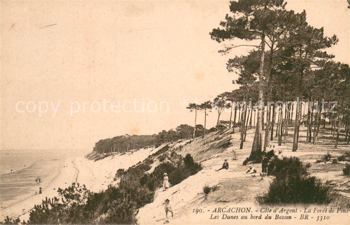 Arcachon 33 Cote d’Argent La Foret de Pins Les Dunes au bord du Bassin