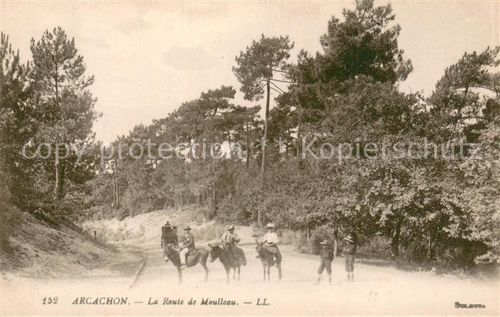 Arcachon 33 La Route de Moulleau