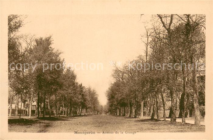 Montgeron Avenue de la Grange