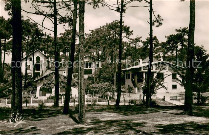 Bassin d Arcachon Les Belles Villas dans les Dunes