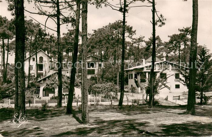 Bassin d Arcachon Les Belles Villas dans les Dunes