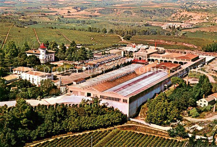 Cavas Codorniu Exteriores vista aérea
