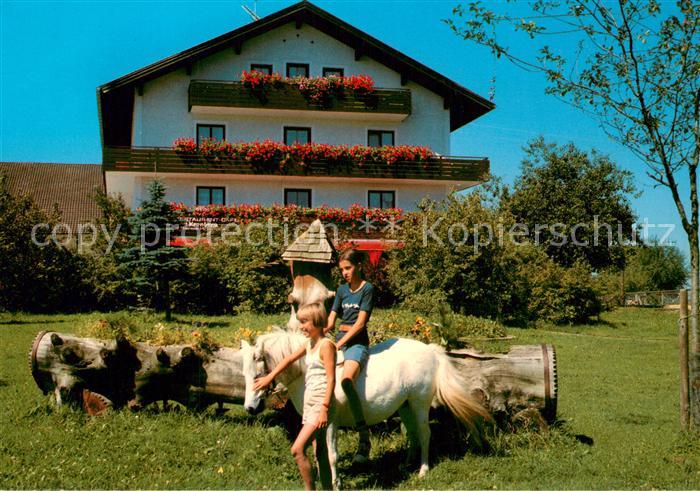 Kronberg Hoeslwang Gut Kronberg Pension Reiterhof Ponyreiten