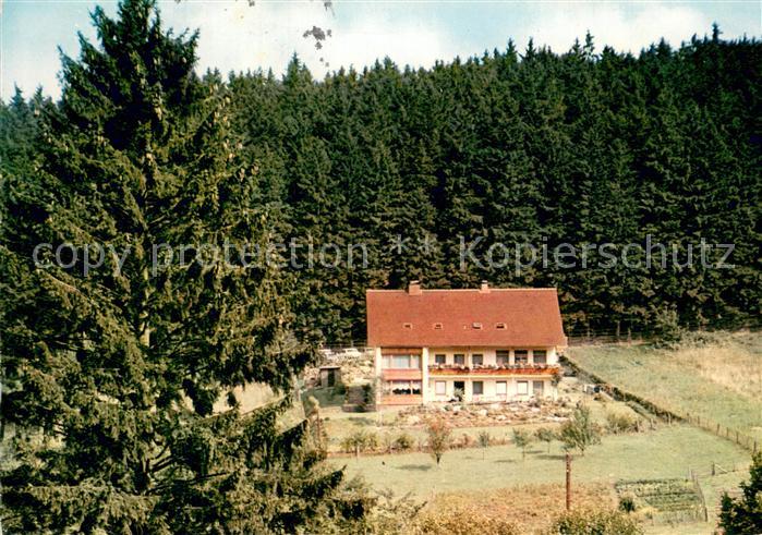 Fohlenplacken WaldCafe Pension Ruebezahl