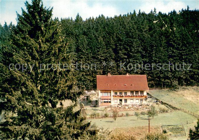 Fohlenplacken WaldCafe Pension Ruebezahl