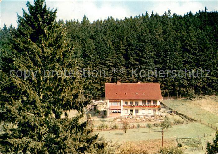 Fohlenplacken WaldCafe Pension Ruebezahl