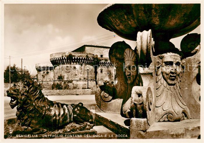Senigallia Dettaglio Fontana del Duca e la Rocca