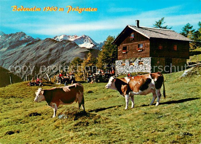 Praegraten Grossvenediger Bodenalm