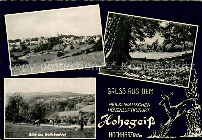 Hohegeiss Harz Panorama Waldhotel Dicke Tanne Blick ins Wolfsbachtal
