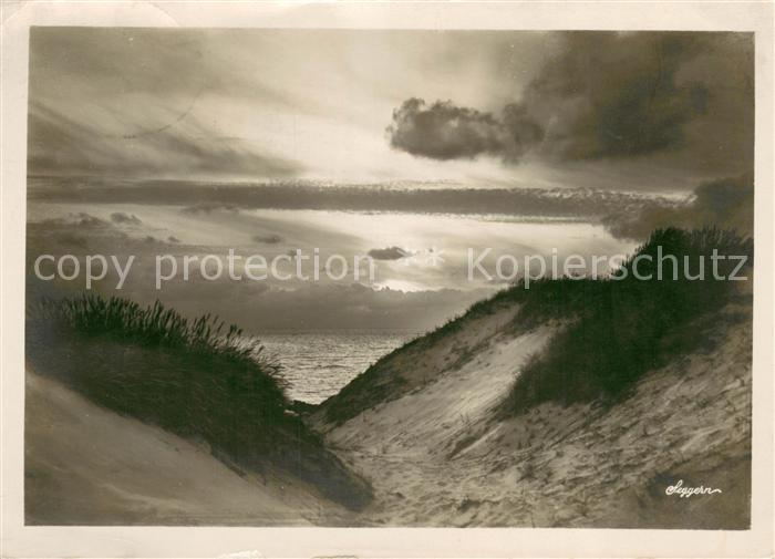 Insel Sylt Abendstimmung in den Duenen