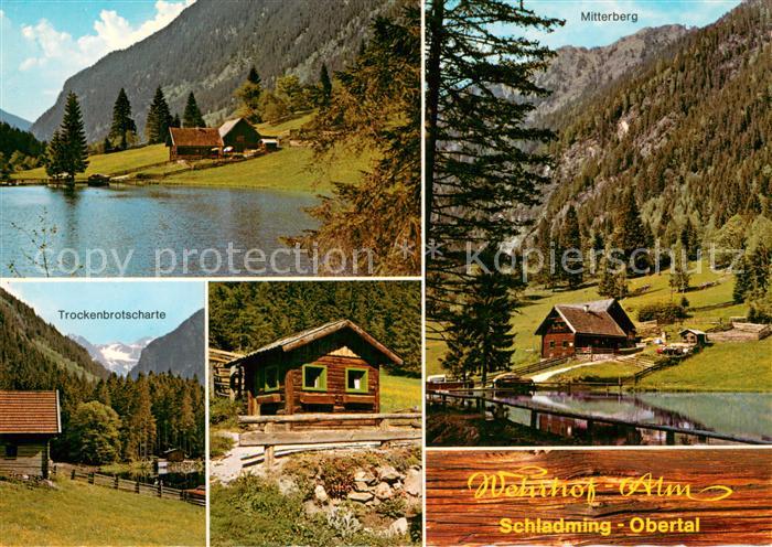 Schladming Obersteiermark Ausflugsziel und Jausenstation Wehrhof-Alm Obertal Ber