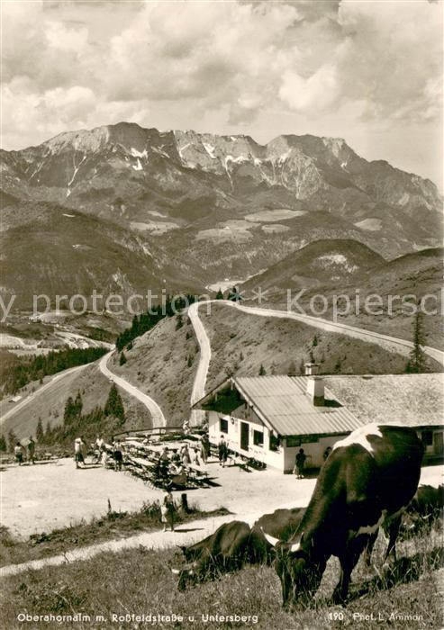 Oberahornalm Berchtesgaden Rossfeldstrasse und Untersberg Alpen