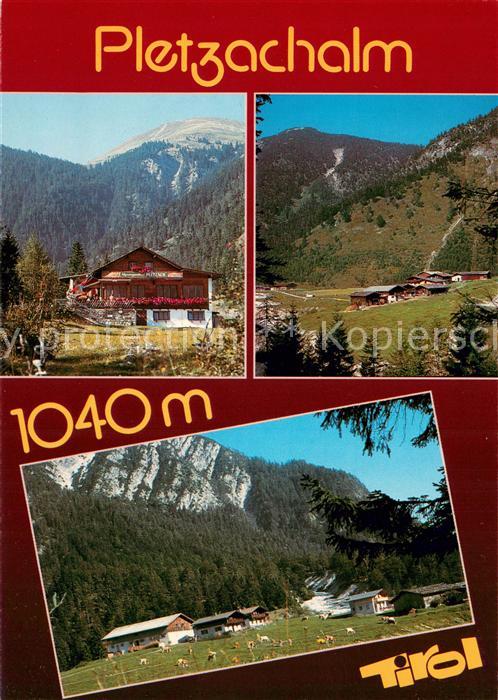 Pertisau Achensee Pletzachalm Landschaftspanorama Alpen