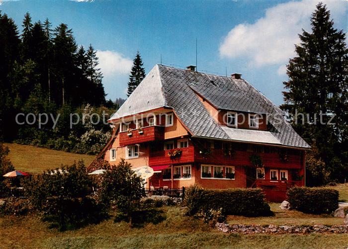 Hinterzarten Breisgau-Hochschwarzwald BW Gaestehaus Haus Gremmelspacher im Schwa