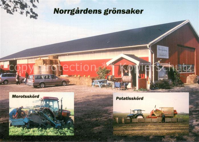 Ventlinge Schweden Norrgardens groensaker Morotsskoerd Potatisskoerd