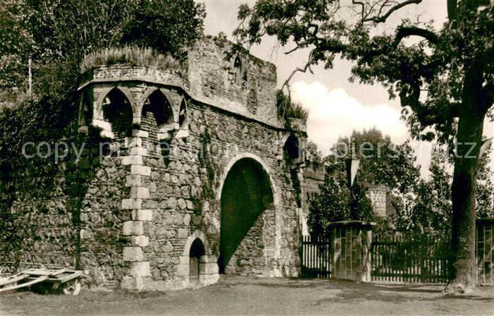 Zons Rhein Schlossruine