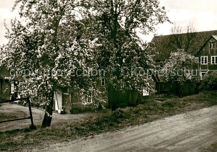Schwinde Gast und Pensionshaus Hans Harms