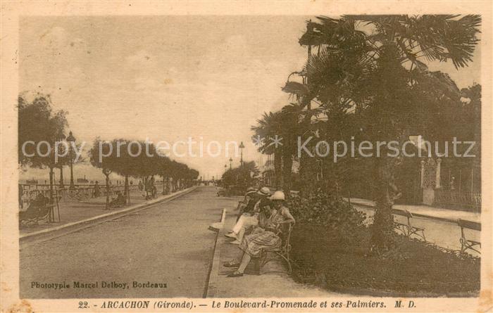 Arcachon 33 Boulevard Promenade et ses palmiers