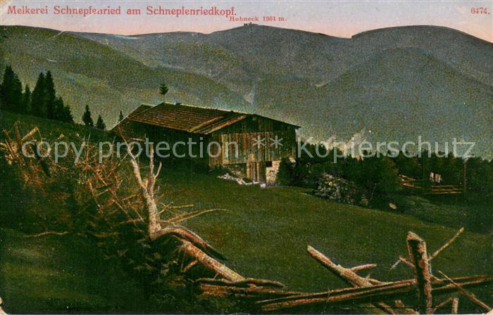 Schnepfenried Elsass Melkerei am Schnepfenriedkopf Vogesen