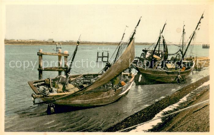 NIEUPORT Nieuwpoort West-Vlaanderen Belgie L'Yser Bateaux