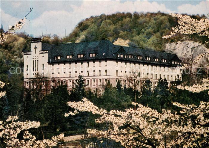 Vallendar Exerzitienhaus Schoenstatt Baumbluete