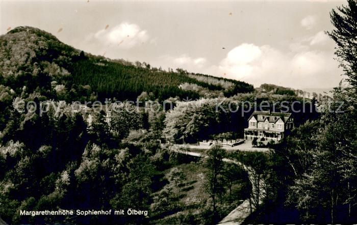 Koenigswinter Hotel Sophienhof und Waldhaeuschen Margarethenhoehe mit oelberg Si