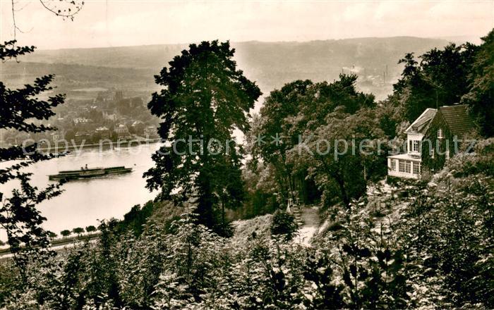 Koenigswinter Weingut Hans Ruedenet Blick auf den Rhein