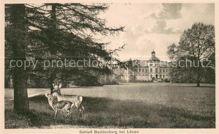 Luenen UNNA NRW Schloss Buddenburg Rehe Parkanlagen Kuenstlerkarte