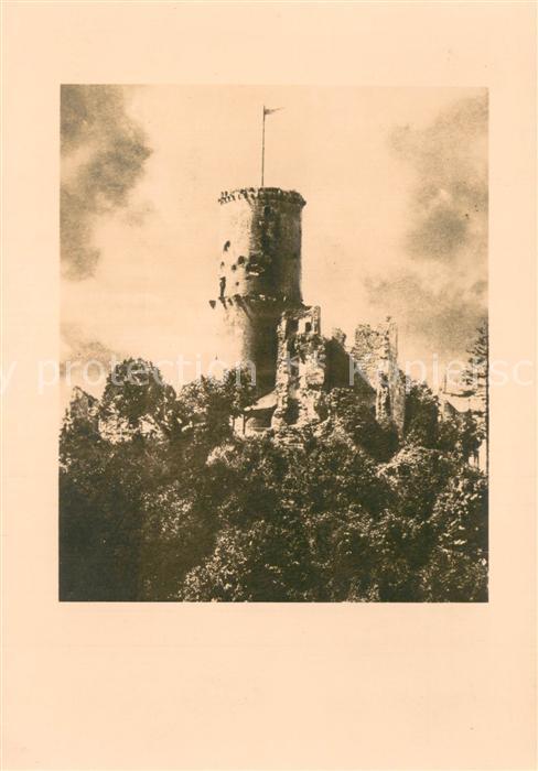 Bad Godesberg Burgruine Godesburg