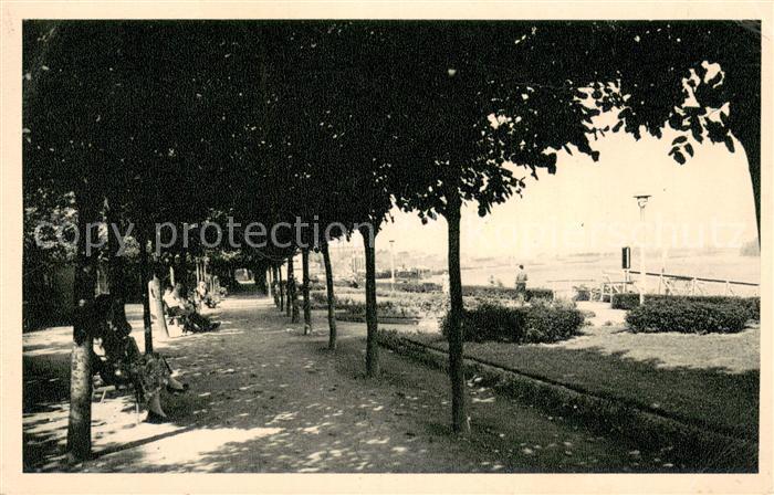 Wesseling Rheinpromenade