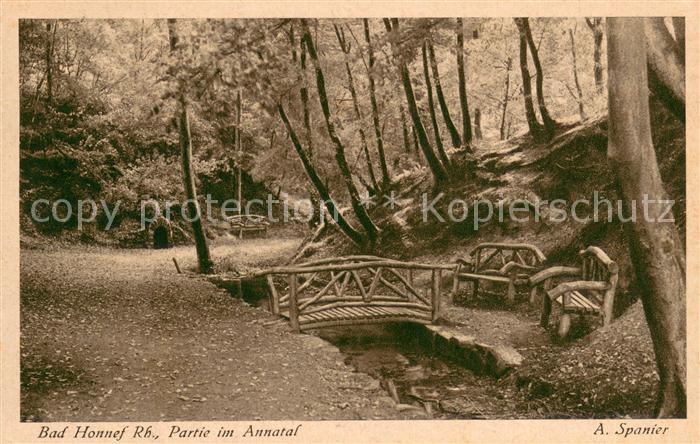 Bad Honnef Partie im Annatal Wald Bach mit Bruecke