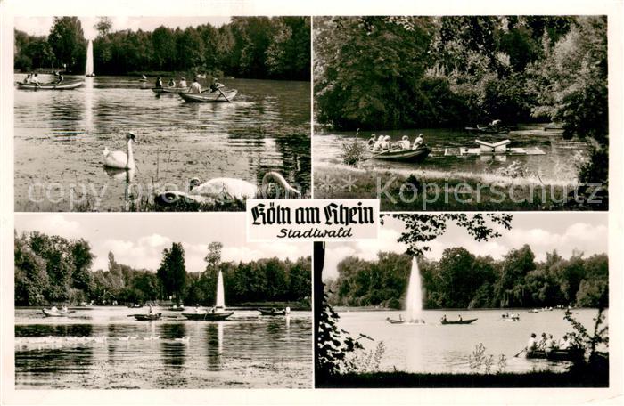 Koeln Rhein Stadtwald Rheinpartien