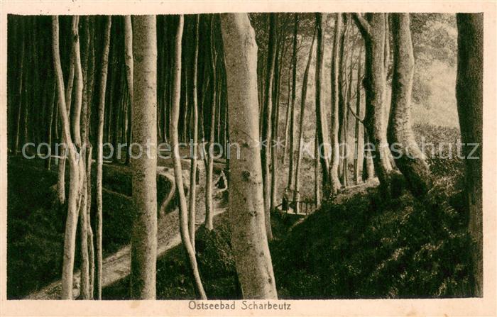 Scharbeutz Ostseebad Waldpartie