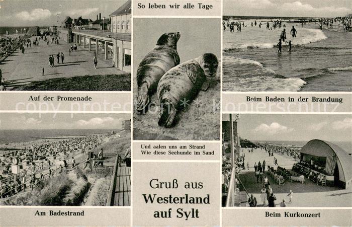 Westerland Sylt Promenade Robben Brandungsbaden Badestrand Kurkonzert