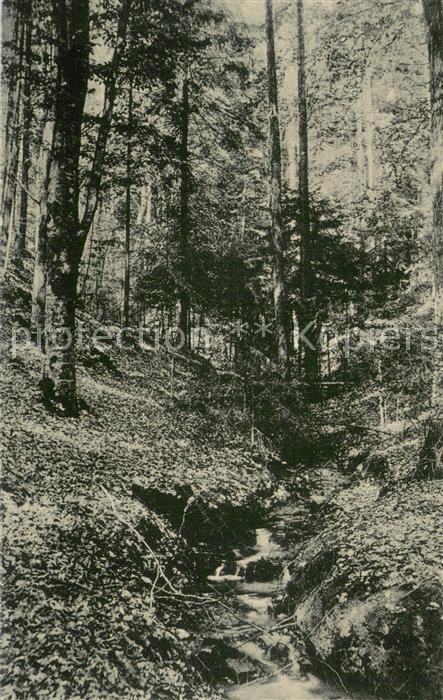 Nienburg Weser Oyler Berg Kleines Baechlein