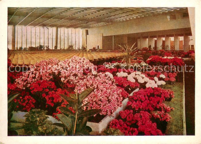 Koeln Rhein BUGA 1957 Kongresshalle