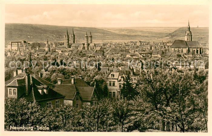 Naumburg Saale Stadtpanorama