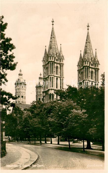 Naumburg Saale Dom